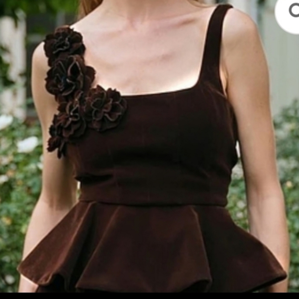Muse By Marchesa Grove Woven Velvet 3D Rosette Scoop Neck Peplum Top 14 - Picture 1 of 11